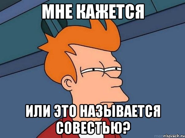 Мне кажется Или это называется совестью?, Мем  Фрай (мне кажется или)