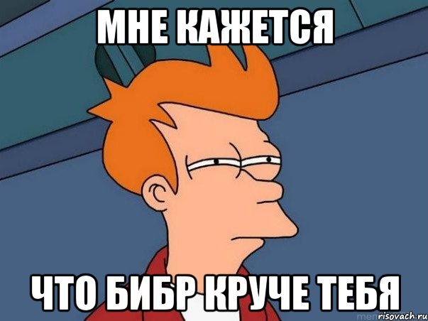 мне кажется что Бибр круче тебя, Мем  Фрай (мне кажется или)