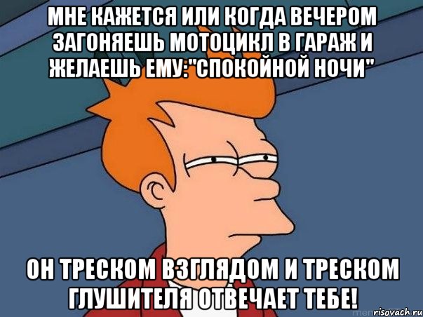 мне кажется или когда вечером загоняешь мотоцикл в гараж и желаешь ему:"спокойной ночи" он треском взглядом и треском глушителя отвечает тебе!, Мем  Фрай (мне кажется или)