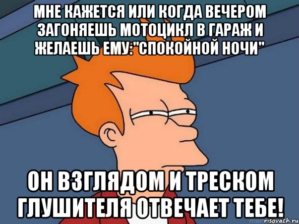 мне кажется или когда вечером загоняешь мотоцикл в гараж и желаешь ему:"спокойной ночи" он взглядом и треском глушителя отвечает тебе!, Мем  Фрай (мне кажется или)