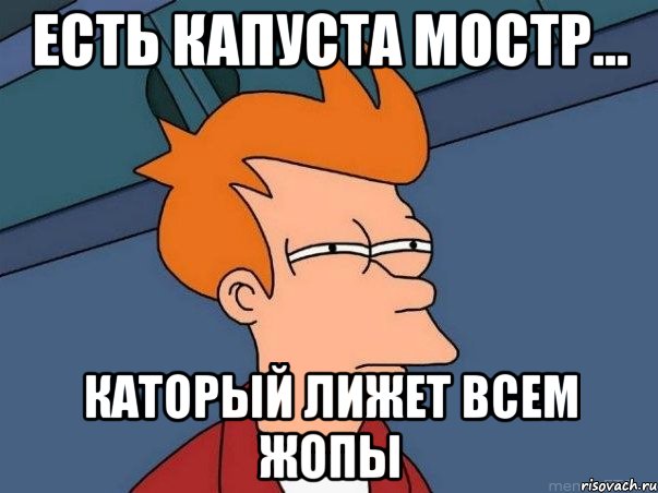 Есть капуста мостр... каторый лижет всем жопы, Мем  Фрай (мне кажется или)