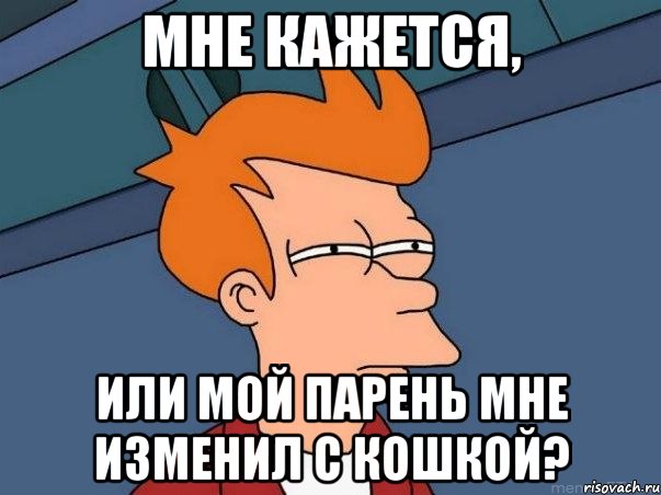 мне кажется, или мой парень мне изменил с кошкой?, Мем  Фрай (мне кажется или)