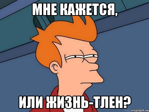 мне кажется, или жизнь-тлен?, Мем  Фрай (мне кажется или)