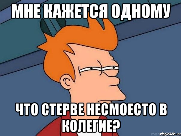 мне кажется одному что стерве несмоесто в колегие?, Мем  Фрай (мне кажется или)