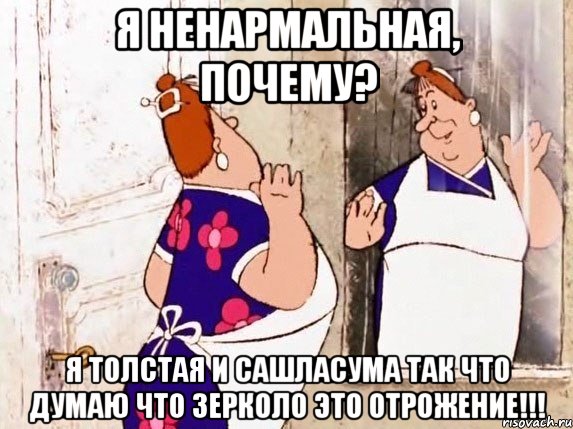 я ненармальная, почему? я толстая и сашласума так что думаю что зерколо это отрожение!!!, Мем  Фрекен Бок