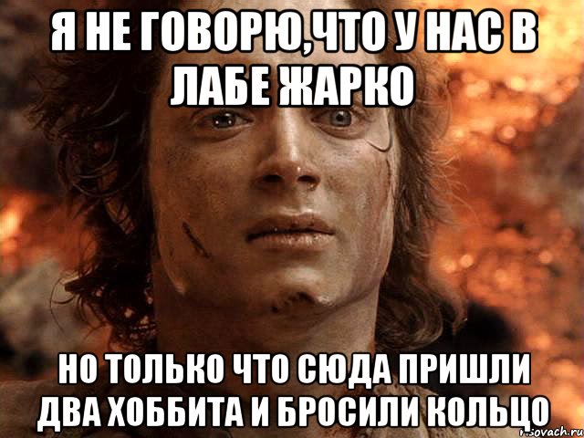 Я НЕ ГОВОРЮ,ЧТО У НАС В ЛАБЕ ЖАРКО НО ТОЛЬКО ЧТО СЮДА ПРИШЛИ ДВА ХОББИТА И БРОСИЛИ КОЛЬЦО, Мем Frodo