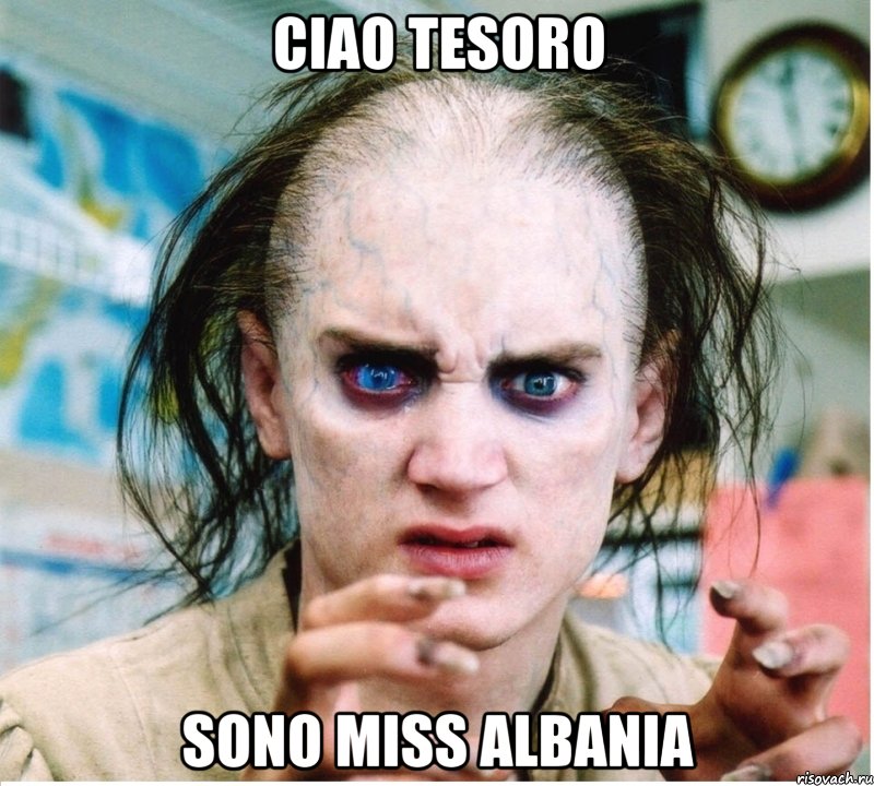 Ciao tesoro Sono miss albania, Мем фродум