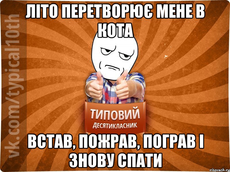 ЛІТО ПЕРЕТВОРЮЄ МЕНЕ В КОТА ВСТАВ, ПОЖРАВ, ПОГРАВ І ЗНОВУ СПАТИ, Мем десятиклассник6