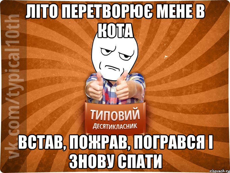 ЛІТО ПЕРЕТВОРЮЄ МЕНЕ В КОТА ВСТАВ, ПОЖРАВ, ПОГРАВСЯ І ЗНОВУ СПАТИ, Мем десятиклассник6
