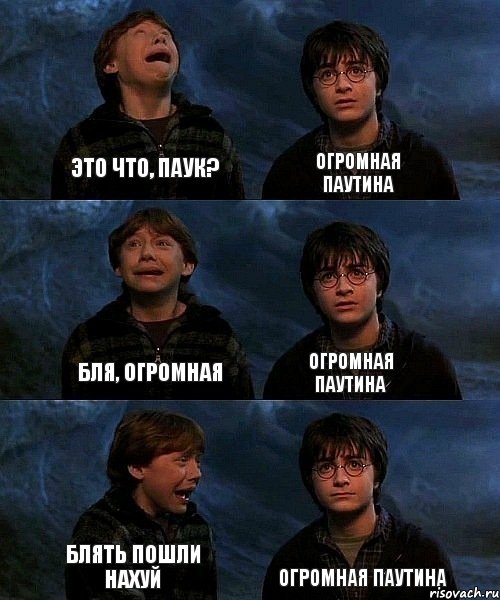 Это что, паук? Огромная паутина Бля, огромная Огромная паутина Блять пошли нахуй Огромная паутина