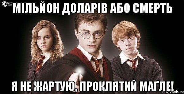 Мільйон доларів або смерть я не жартую, проклятий маґле!, Мем Гарри Поттер Рон и Гермиона