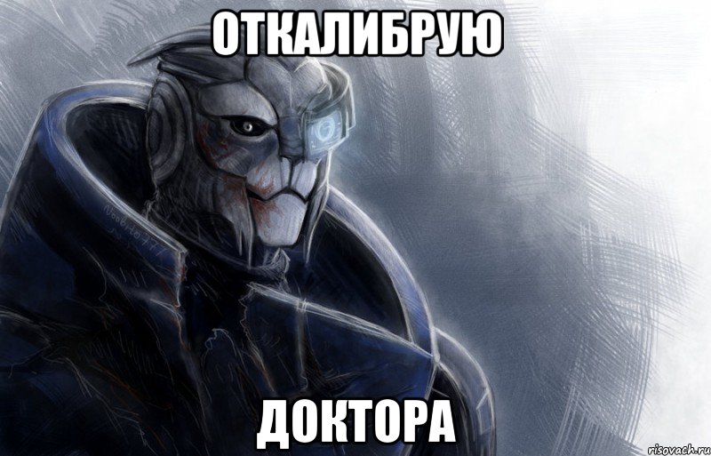 ОТКАЛИБРУЮ ДОКТОРА, Мем гаррус