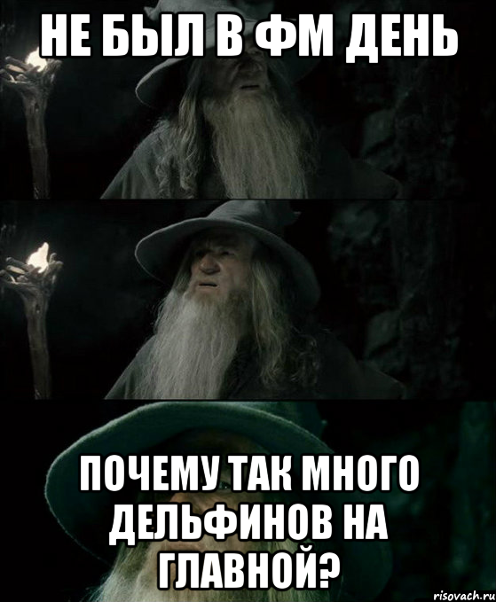 не был в ФМ день почему так много дельфинов на главной?, Комикс Гендальф заблудился