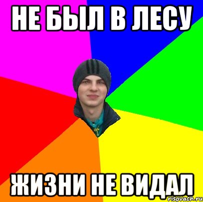 не был в лесу жизни не видал