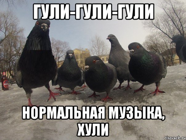 ГУЛИ-ГУЛИ-ГУЛИ НОРМАЛЬНАЯ МУЗЫКА, ХУЛИ, Мем голубь