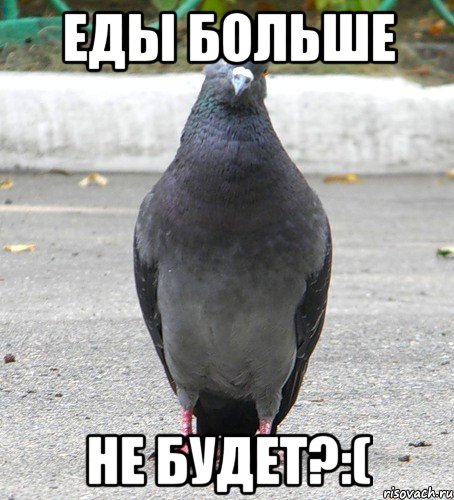 Еды больше не будет?:(