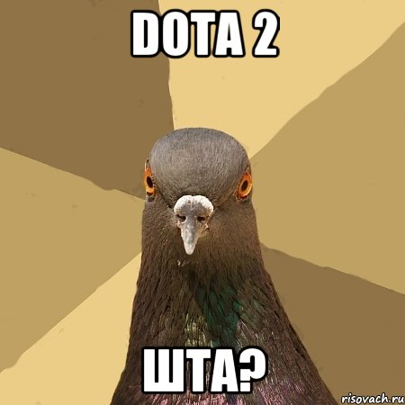 DOTA 2 ШТА?, Мем голубь