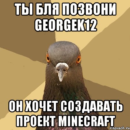 Ты бля позвони Georgek12 Он хочет создавать проект MINECRAFT, Мем голубь