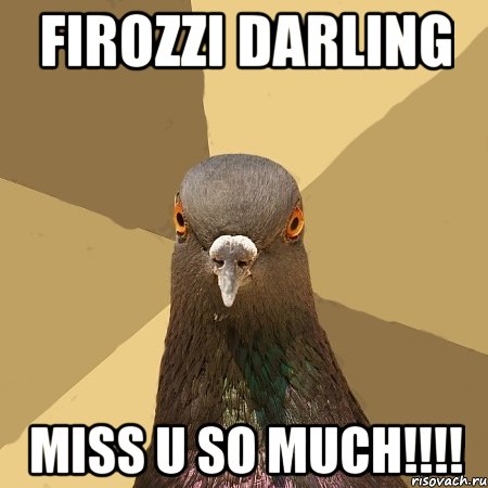 Firozzi darling Miss u so much!!!!, Мем голубь