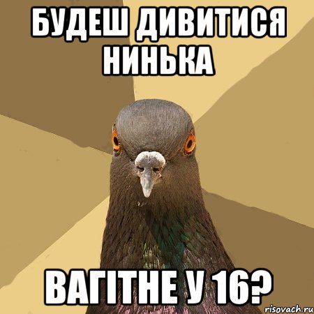 Будеш дивитися нинька Вагітне у 16?, Мем голубь