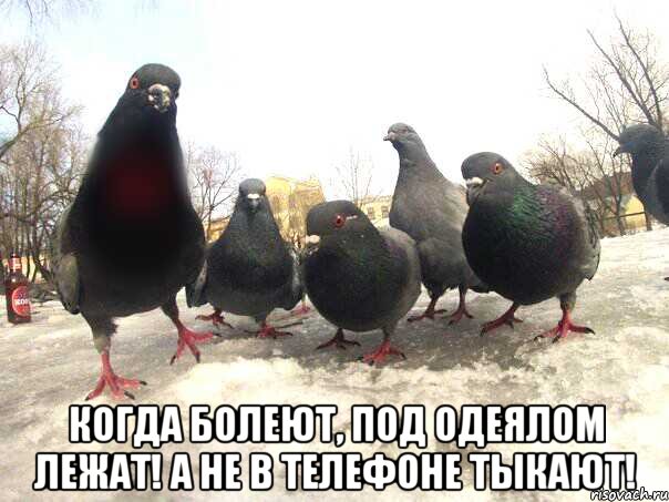  Когда болеют, под одеялом лежат! А не в телефоне тыкают!