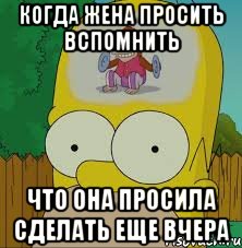 когда жена просить вспомнить что она просила сделать еще вчера, Мем  Гомер Симпсон