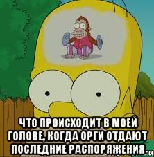  что происходит в моей голове, когда орги отдают последние распоряжения