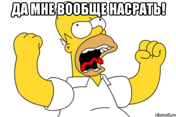 Да мне вообще насрать! , Мем Разъяренный Гомер