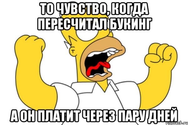 То чувство, когда пересчитал Букинг А он платит через пару дней, Мем Разъяренный Гомер