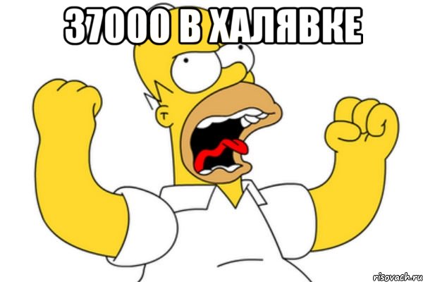 37000 В ХАЛЯВКЕ , Мем Разъяренный Гомер