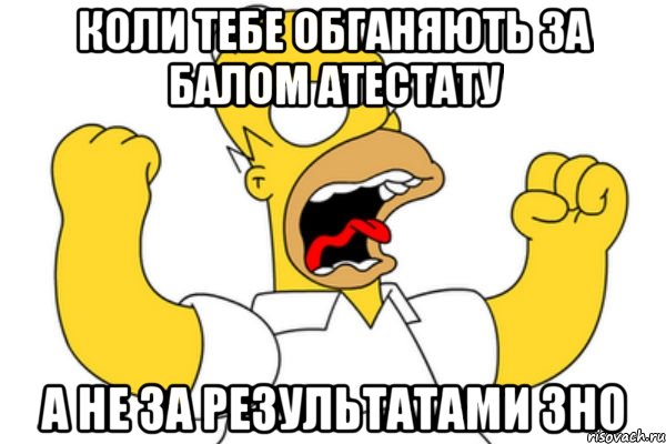 коли тебе обганяють за балом атестату а не за результатами зно, Мем Разъяренный Гомер