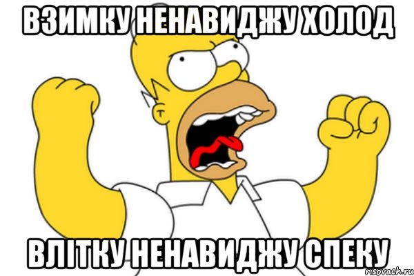 взимку ненавиджу холод влітку ненавиджу спеку, Мем Разъяренный Гомер