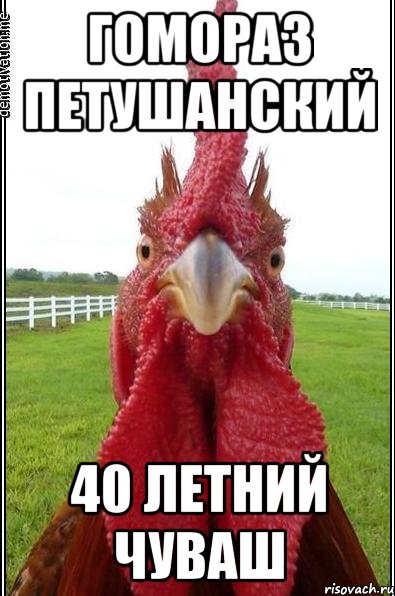 Гомораз Петушанский 40 летний чуваш