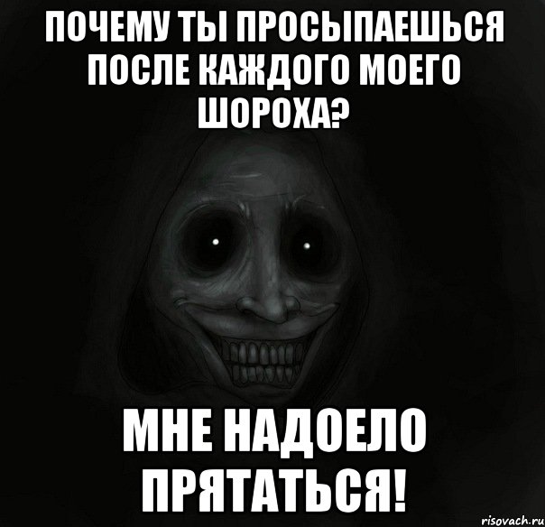 Почему ты просыпаешься после каждого моего шороха? Мне надоело прятаться!, Мем Ночной гость