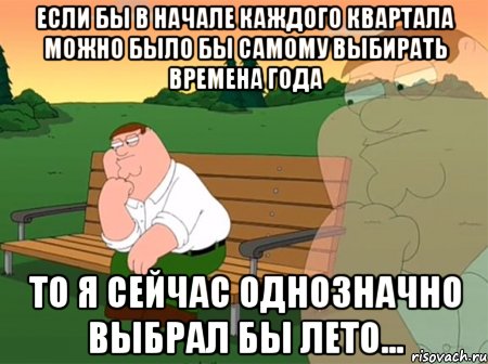 если бы в начале каждого квартала можно было бы самому выбирать времена года то я сейчас однозначно выбрал бы лето..., Мем Задумчивый Гриффин