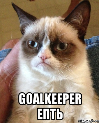  Goalkeeper епть, Мем Grumpy Cat small