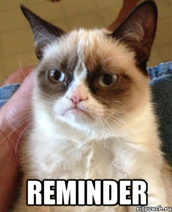  Reminder, Мем Grumpy Cat small