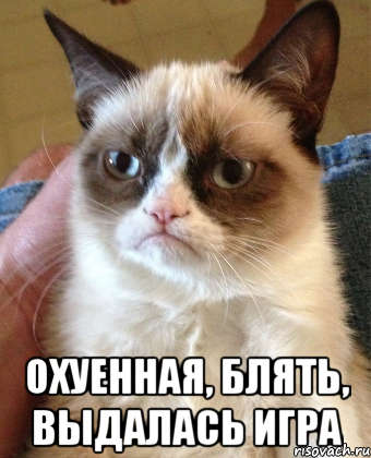  Охуенная, блять, выдалась игра, Мем Grumpy Cat small