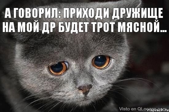 А говорил: Приходи дружище на мой ДР будет трот мясной..., Мем  Грустный кот