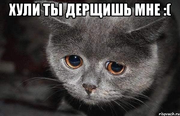 Хули ты дерщишь мне :( , Мем  Грустный кот