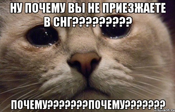 Ну почему вы не приезжаете в СНГ????????? ПОЧЕМУ???????ПОЧЕМУ???????