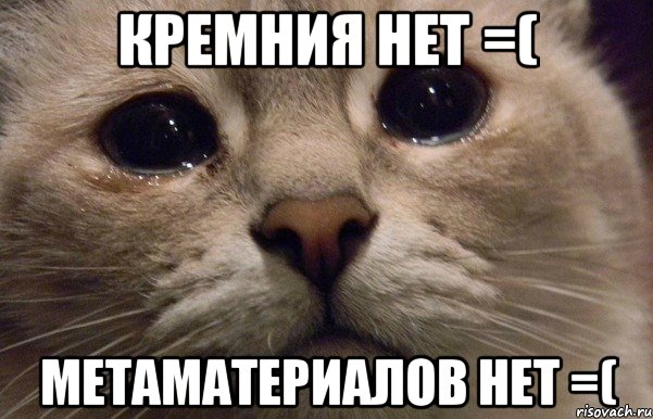 Кремния нет =( метаматериалов нет =(, Мем   В мире грустит один котик