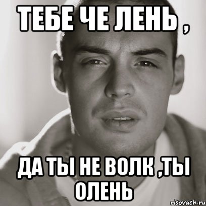 тебе че лень , да ты не волк ,ты олень, Мем Гуф