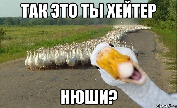 Так это ты хейтер Нюши?, Мем гуси