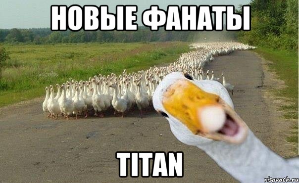 Новые фанаты Titan, Мем гуси