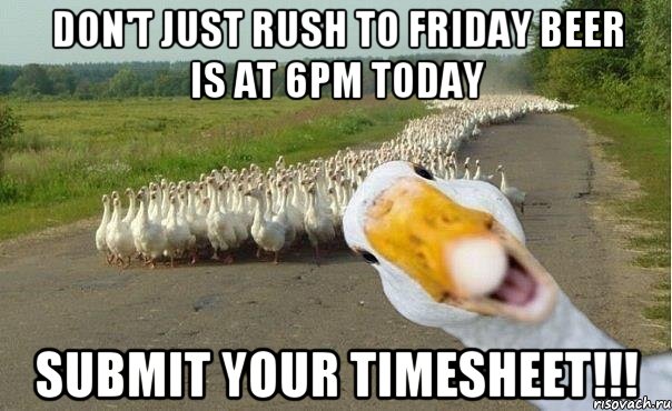 Don't just rush to Friday beer is at 6pm today submit your Timesheet!!!, Мем гуси