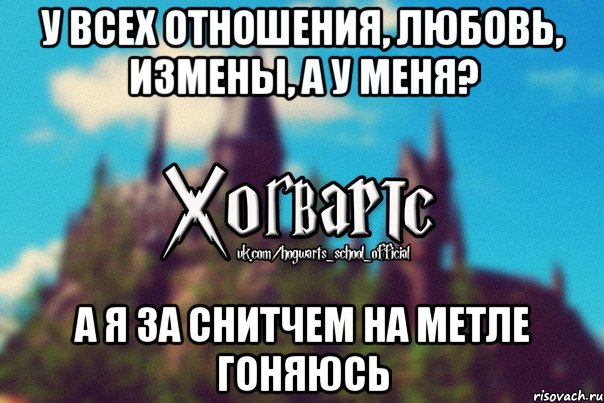 у всех отношения, любовь, измены, а у меня? а я за снитчем на метле гоняюсь, Мем Хогвартс