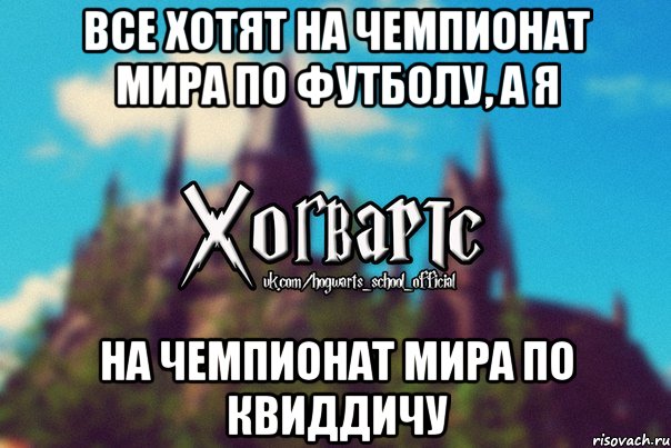 Все хотят на чемпионат мира по футболу, а я На чемпионат мира по Квиддичу, Мем Хогвартс