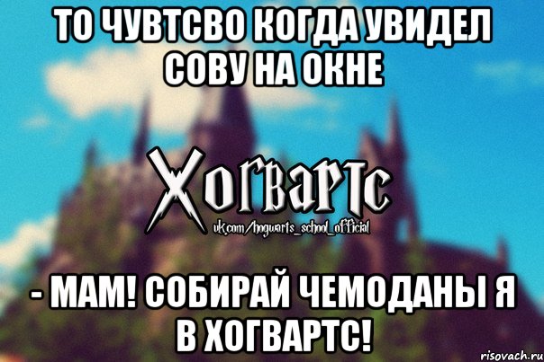 То чувтсво когда увидел сову на окне - Мам! Собирай чемоданы я в Хогвартс!, Мем Хогвартс