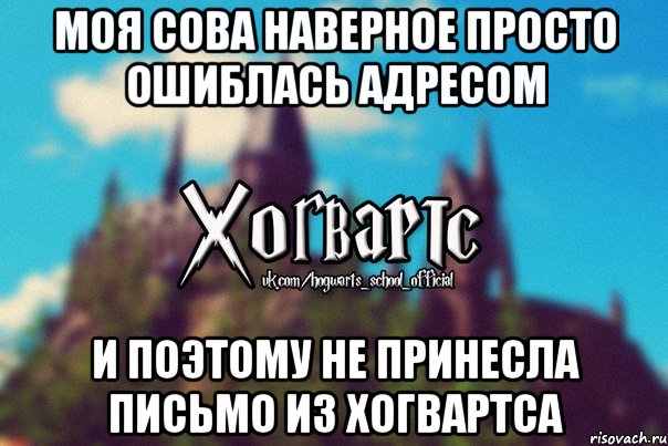 Моя сова наверное просто ошиблась адресом И поэтому не принесла письмо из Хогвартса, Мем Хогвартс